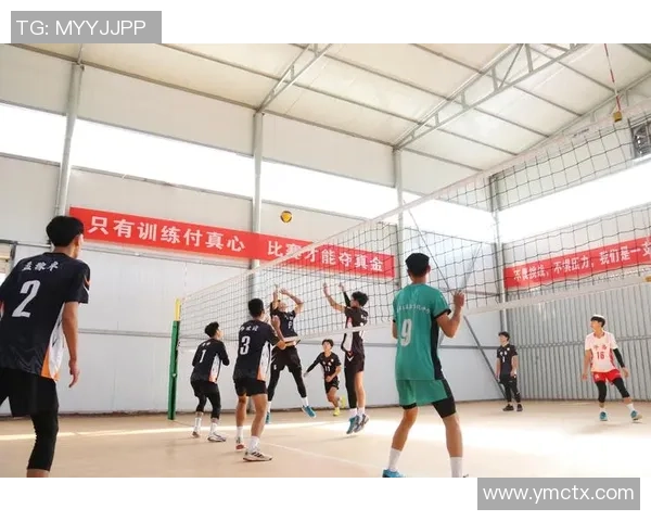 上海排球队灵活应变的策略与训练探索之路