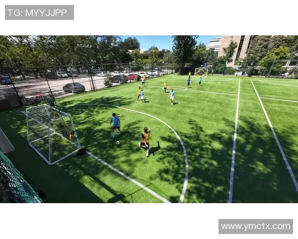 搜狐足球战术解析：深入探讨现代足球战术演变与应用技巧