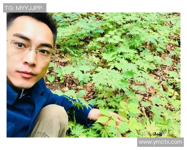 足球员石头的传奇之路从草根到巅峰的奋斗故事