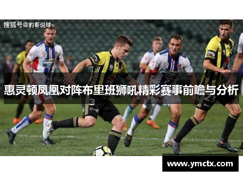 惠灵顿凤凰对阵布里班狮吼精彩赛事前瞻与分析