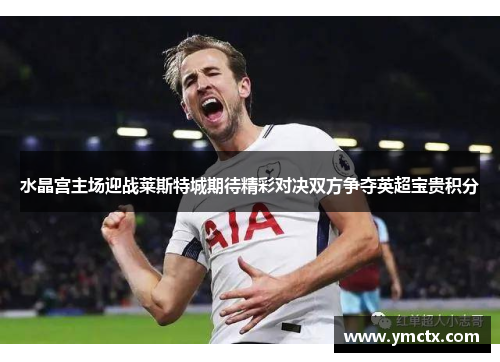 水晶宫主场迎战莱斯特城期待精彩对决双方争夺英超宝贵积分